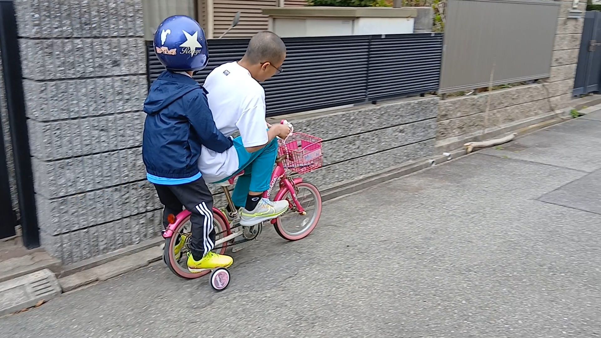 遊んでくれてるのか?